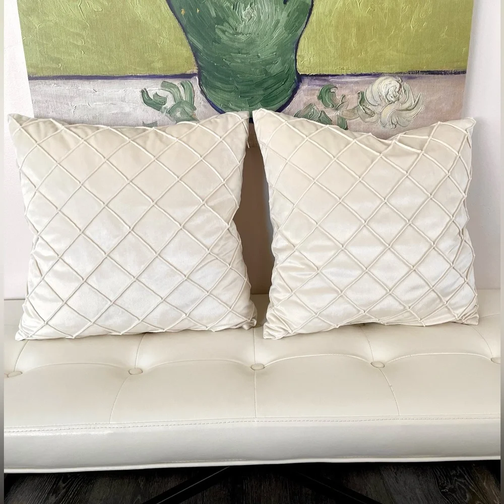 Set of 2 throw pillows 18x18